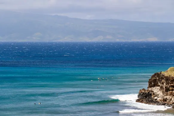 Cazino Two Fat Ladies Bingo Cazinou Suport